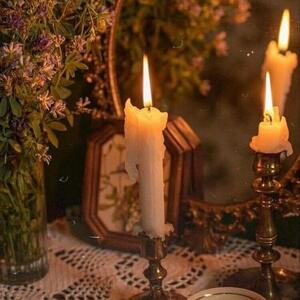 Gallery Photo 8