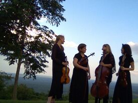 Afton String Quartet - String Quartet - Charlottesville, VA - Hero Gallery 4