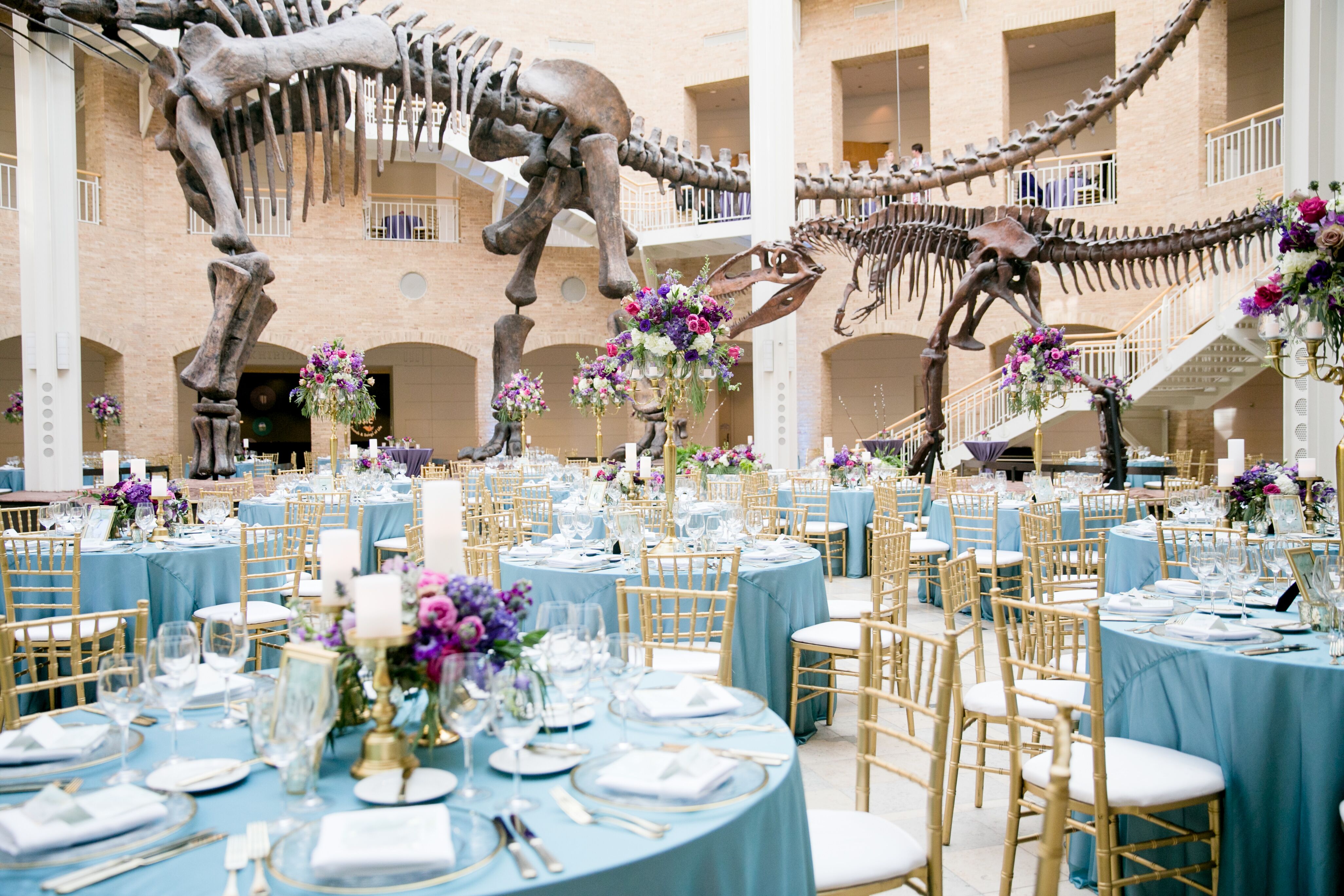 fernbank-museum-of-natural-history-reception-venues-the-knot