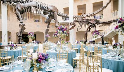 Fernbank Museum Of Natural History Reception Venues Atlanta Ga