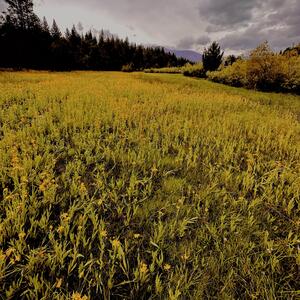Gallery Photo 28