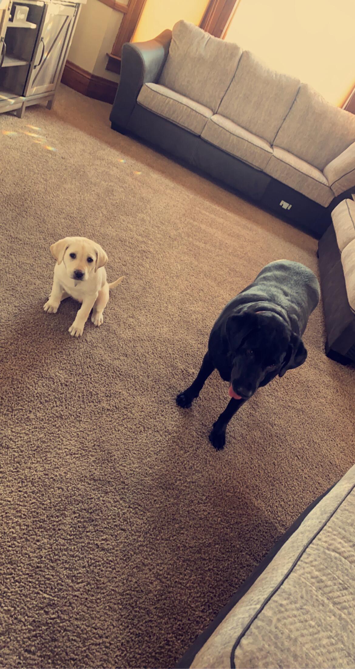 Brought Lilly into our family!