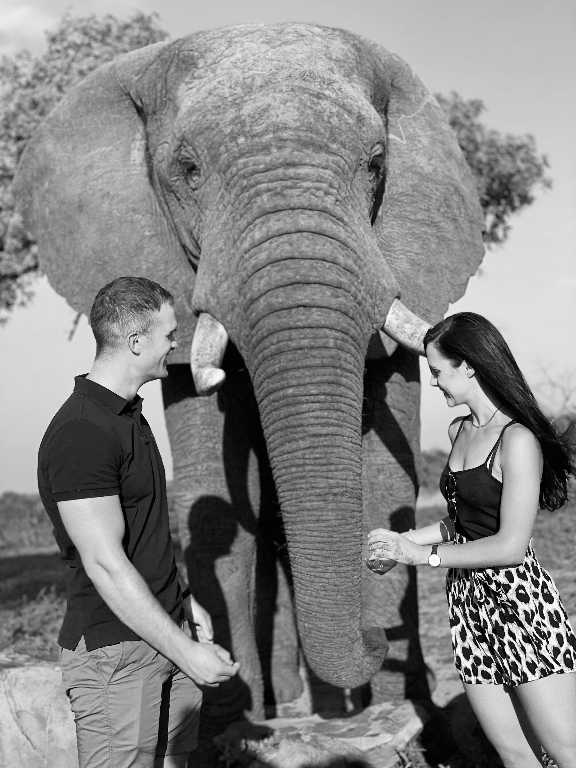 Danielle and Ryan's love story began on a special day—November 13, 2021, which also marked her parents' wedding anniversary. Their first date was at Tashas, where Danielle ordered carrot cake, and from that sweet moment, their connection blossomed. A month after their first date, Ryan surprised Danielle with a trip to a beautiful game reserve. It was there, amidst nature and the elephants, that they truly fell in love.