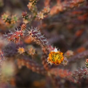 Gallery Photo 21