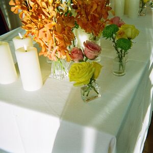 Gallery Photo 127