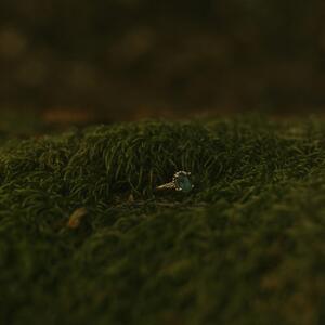 Gallery Photo 11