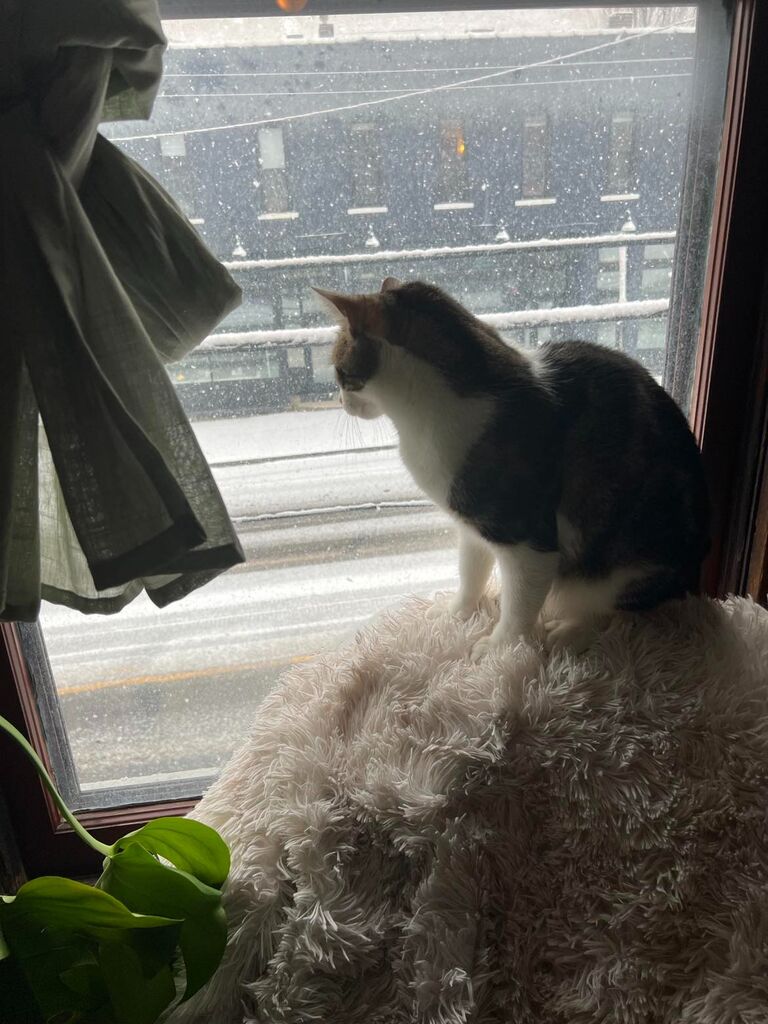 We had a giant snowstorm and we all stayed inside.