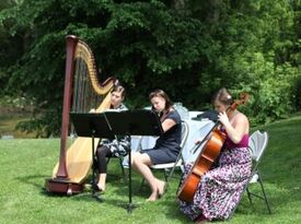 The Soenen Sisters - Harp, Flute, and Cello - Classical Trio - Hamilton, ON - Hero Gallery 3