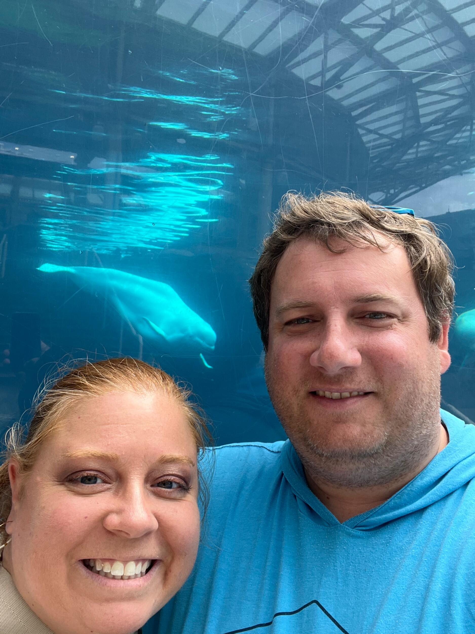 Kim got to see whales (!!!) on a trip to see Greg's childhood home.