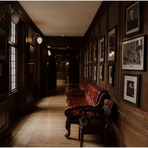 Gallery Photo 7