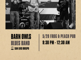 Barn Owls Blues Band - Blues Band - Temecula, CA - Hero Gallery 4
