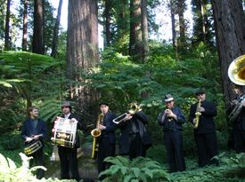 Brass Monkey Brass Band - Brass Band - San Francisco, CA - Hero Gallery 2