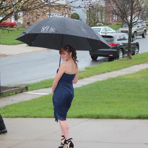 Gallery Photo 3