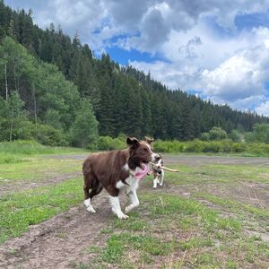 Gallery Photo 26