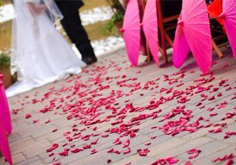 Princess Wedding Wedding Planners Panama City Beach Fl