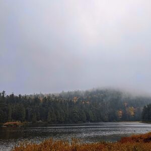Gallery Photo 8