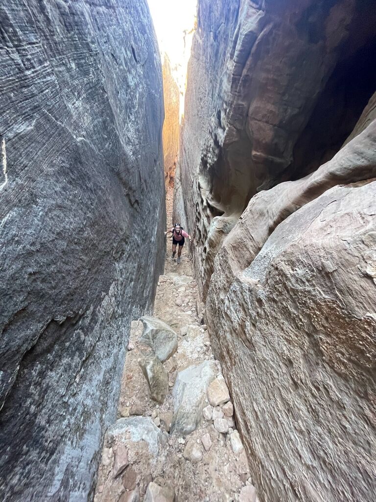 CO rocks!
