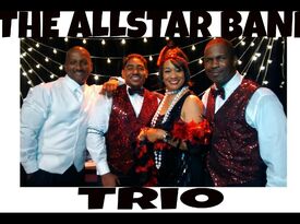 P. Ann Everson-Price and the All-Star Band - Dance Band - Cincinnati, OH - Hero Gallery 1
