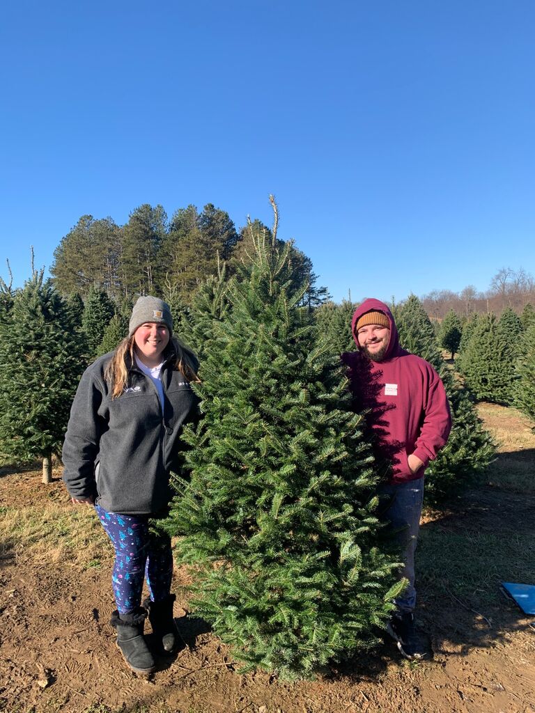 Cut down our first Christmas tree 