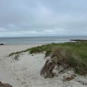 Gallery Photo 4