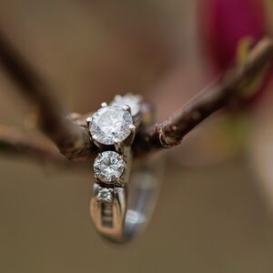 Gallery Photo 16