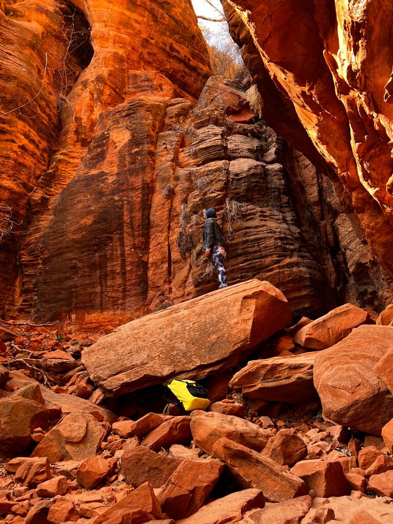 Sophal went to Zion National Park for her birthday.