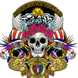 Shakedown Street Grateful Dead Tribute, profile image