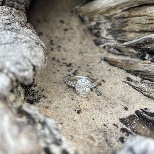 Gallery Photo 19