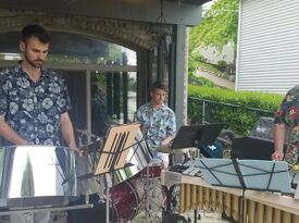 Island Vibes - Steel Drum Band - Ann Arbor, MI - Hero Gallery 1