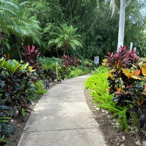 Gallery Photo 5
