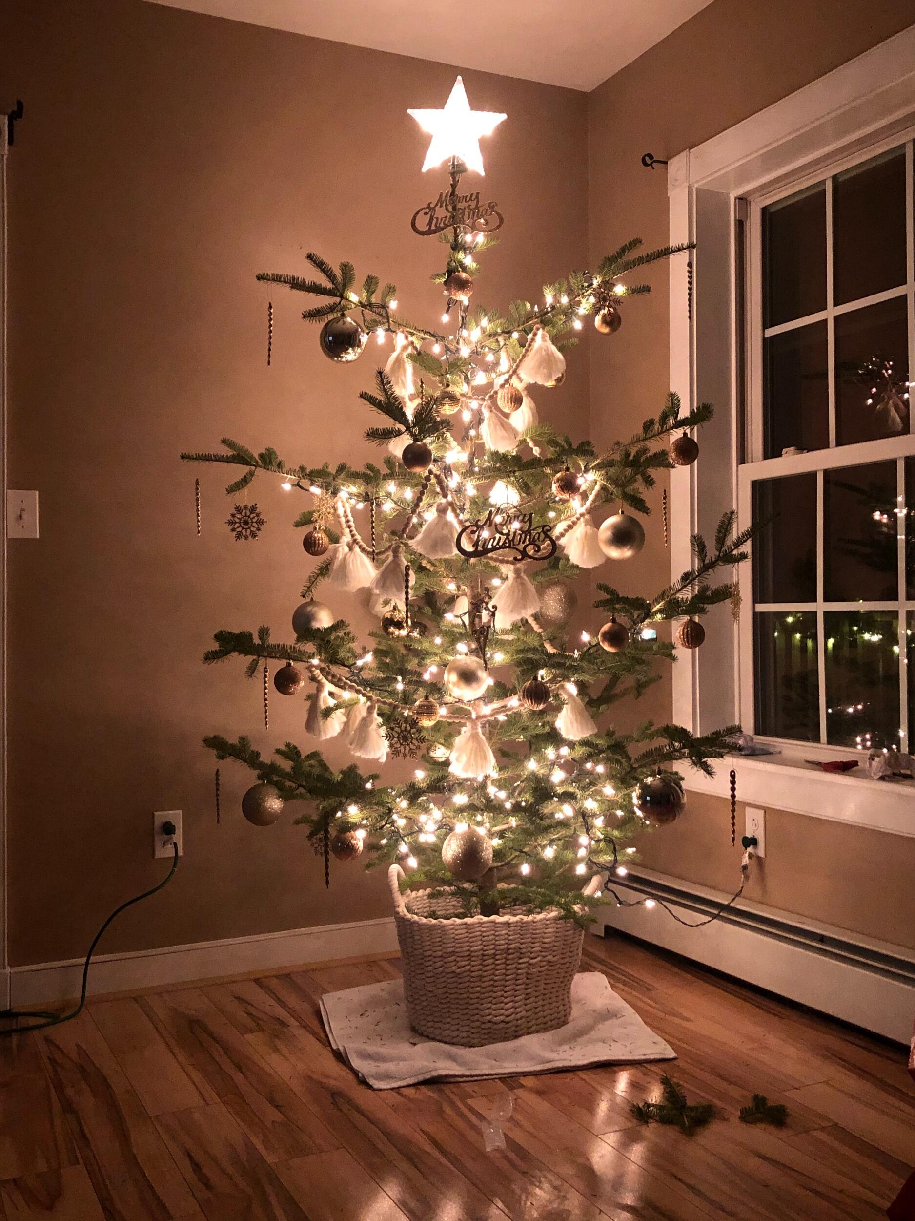 Our first Christmas in our new home.