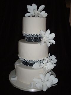 Rassasy Cakes | Wedding Cakes - The Knot