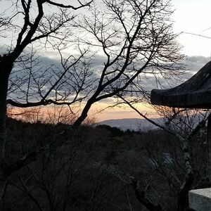 Gallery Photo 12