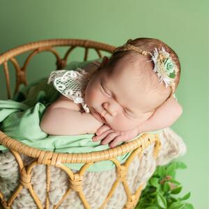 Gallery Photo 5
