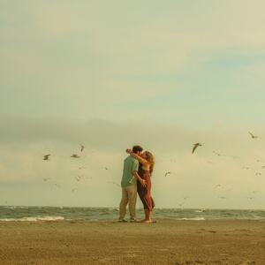 Gallery Photo 14