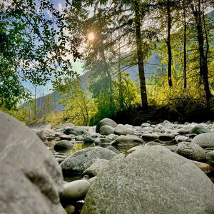 Gallery Photo 251