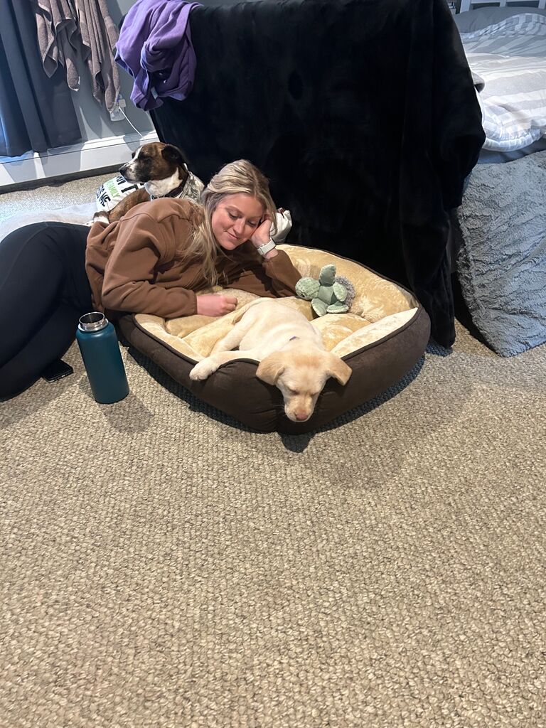 We decided Nash needed a sister to complete our little family, so we brought Sammie home.