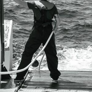 Gallery Photo 4
