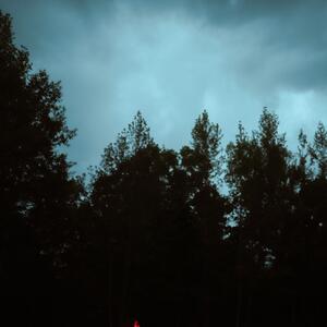 Gallery Photo 11