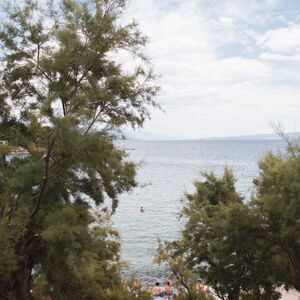 Gallery Photo 172
