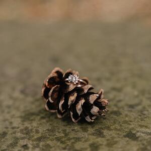 Gallery Photo 32