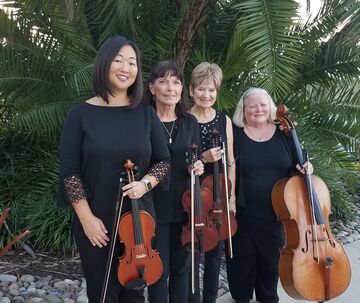 Bonita Strings - String Quartet - Bonita Springs, FL - Hero Main