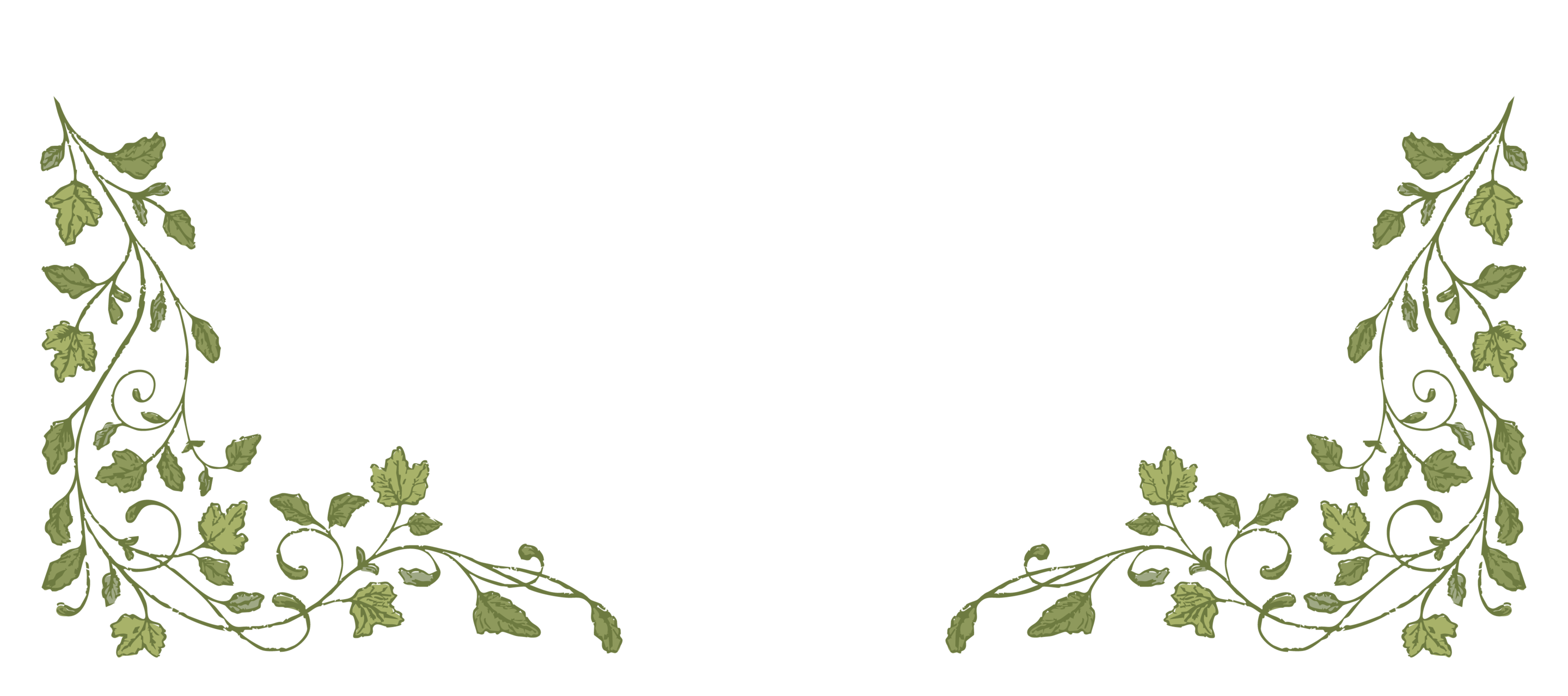 Bottom Theme Image