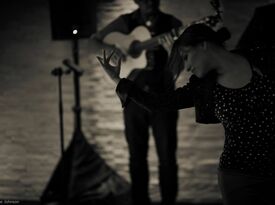 dcflamenco - Flamenco Guitarist - Arlington, VA - Hero Gallery 2