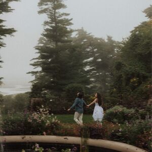 Gallery Photo 12