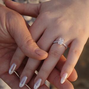 Gallery Photo 41