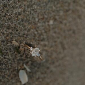 Gallery Photo 16