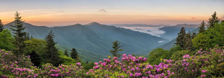 At this point, Lex and Brian are both now living in NC. Brian moved to NC in 2013 (he thinks).
