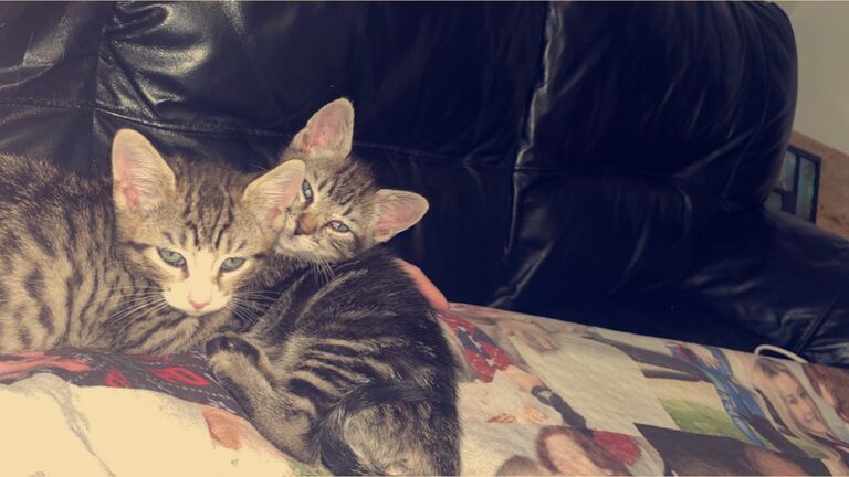 We had our first get together at our apartment for new years and got our boys