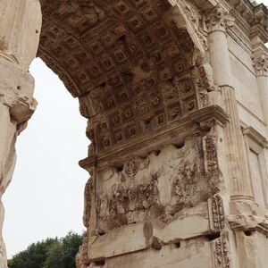 Gallery Photo 44